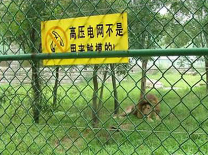 動(dòng)物園防護(hù)網(wǎng) 動(dòng)物園防護(hù)網(wǎng)